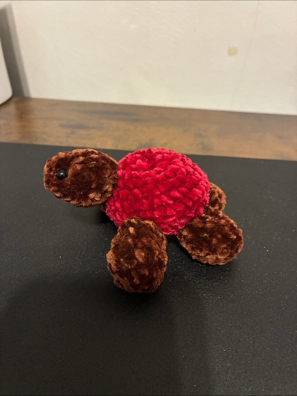 Crotched Turtle - Picture 3 of 7